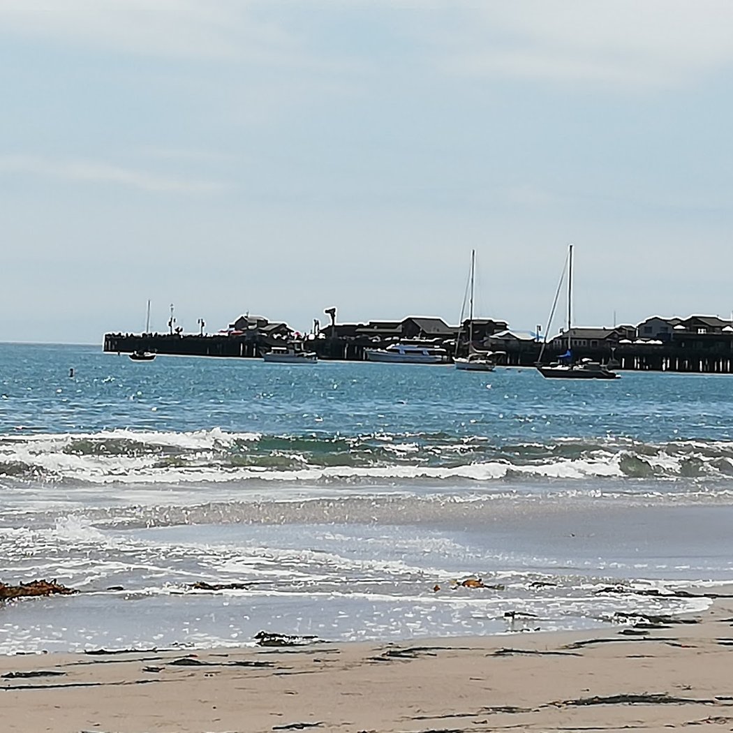 Beach Cleanup with the Sea Center 2